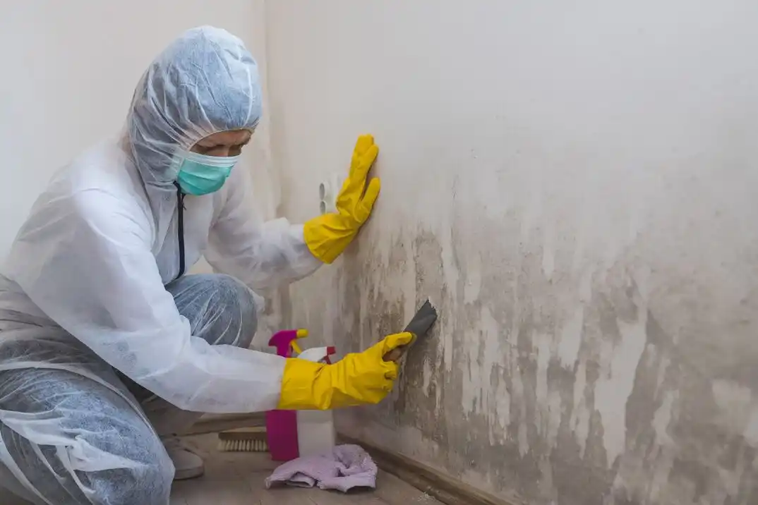 water damage restoration service Haviland